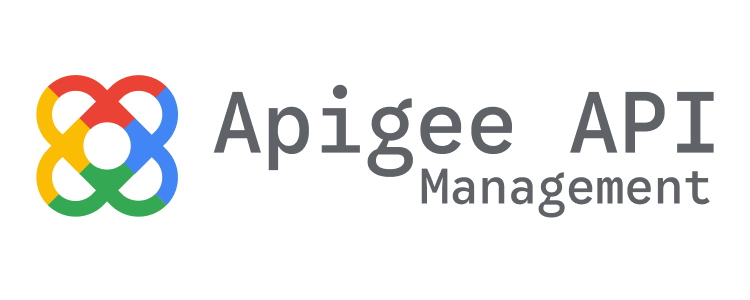 google api